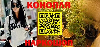 Альфа ПВП Аргун
