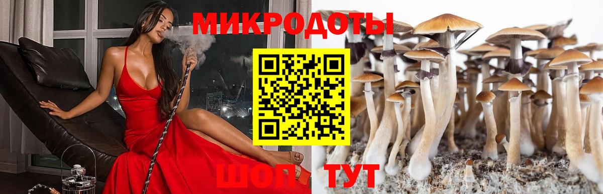 Галлюциногенные грибы мухоморы Асбест